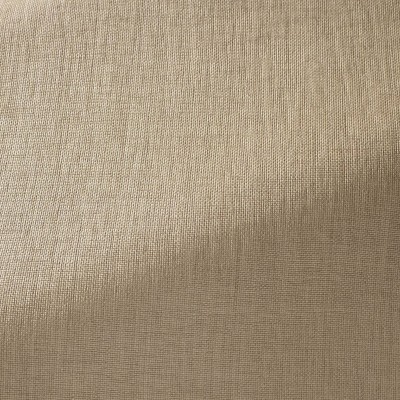 Ткань Pierre Frey fabric F3533004 