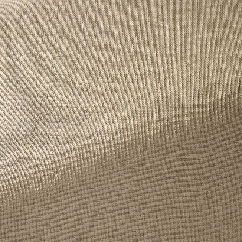 Ткань Pierre Frey fabric F3533004 