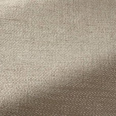 Ткань Pierre Frey fabric F3441007 