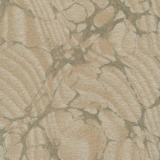 Ткань Rubelli fabric 30069-003 