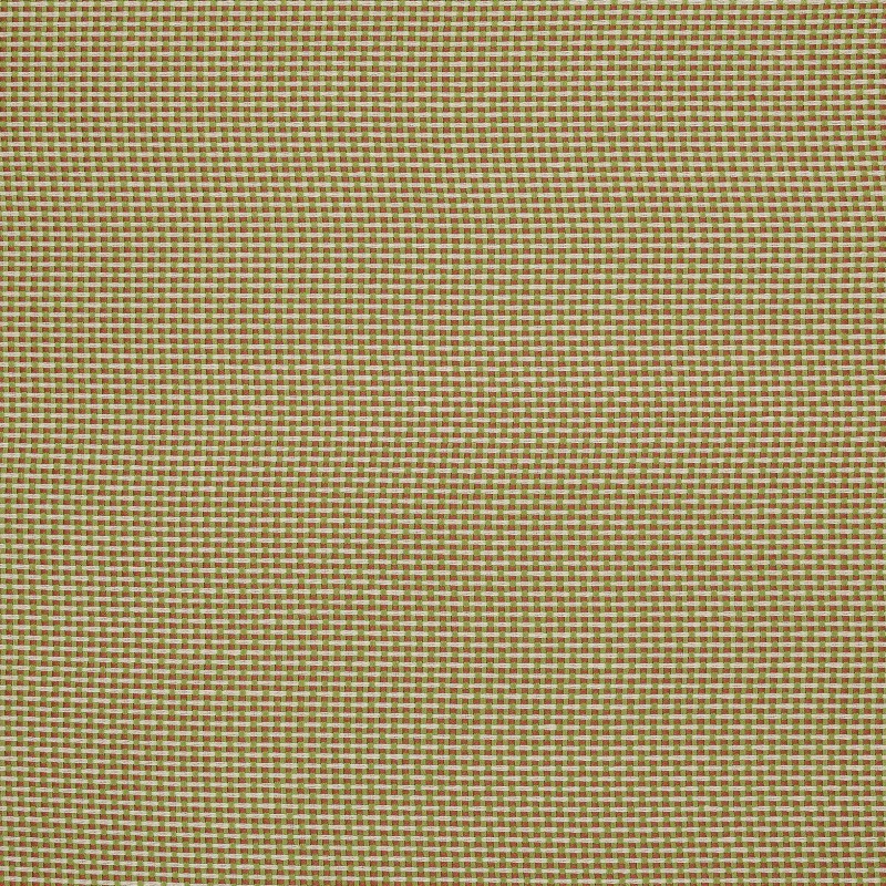 Ткань Pierre Frey fabric F3543015 