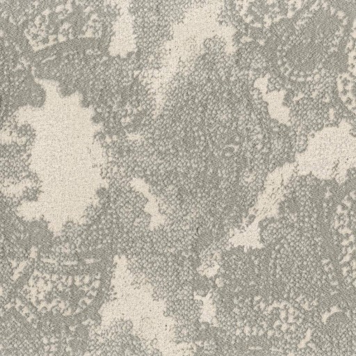 Ткань Rubelli fabric, коллекция FIAMMETTA, артикул  30169-004