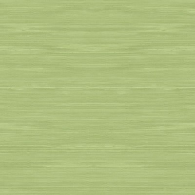 Обои Daisy Bennet (Jaima Brown) JB22304 