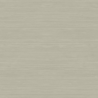 Обои Daisy Bennet (Jaima Brown) JB22307 