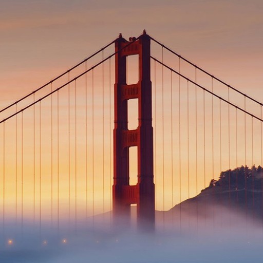 Обои KT-Exclusive, коллекция City Love, артикул CL40A