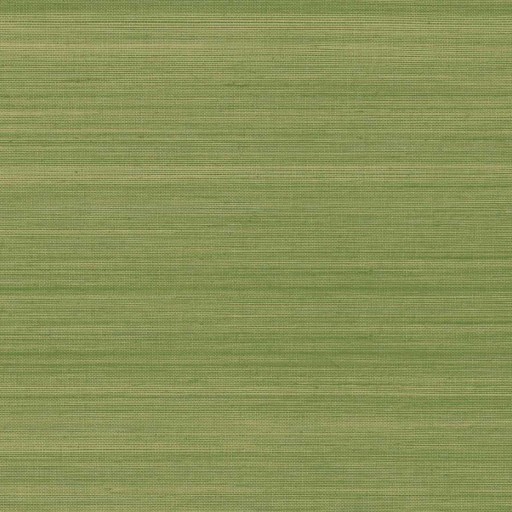 Обои Daisy Bennet (Jaima Brown), коллекция  Chelsea Lane, артикул JB62504