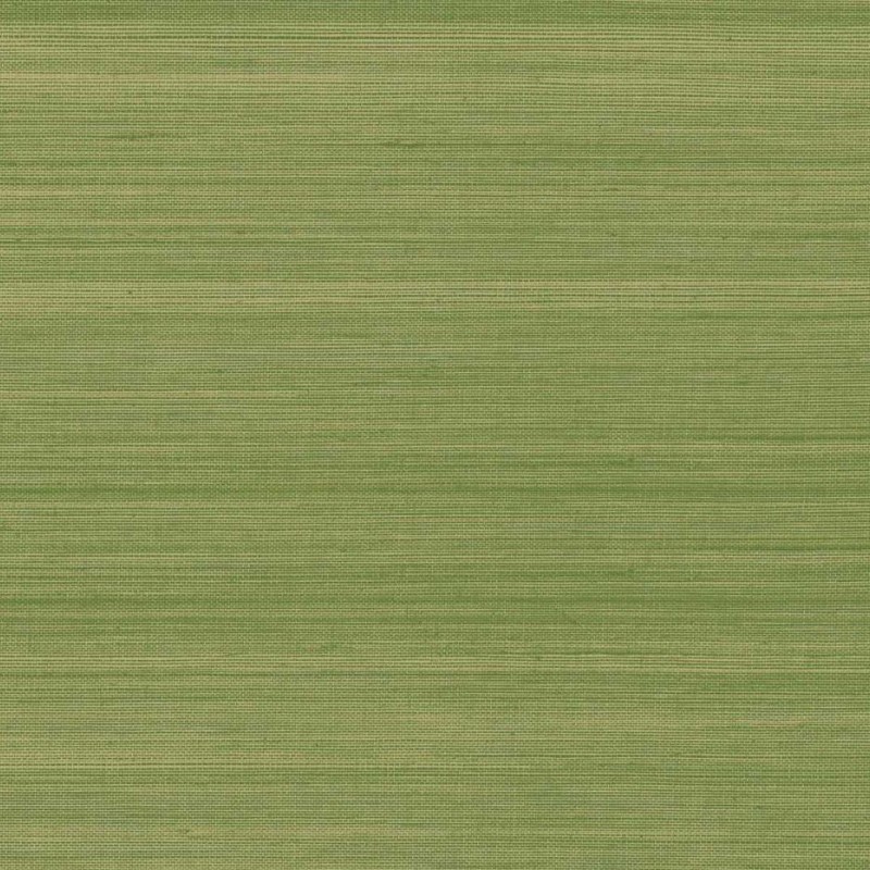 Обои Daisy Bennet (Jaima Brown)...