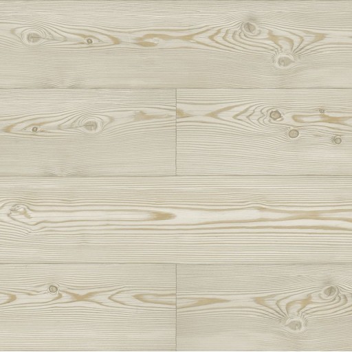 Обои Daisy Bennet (Jaima Brown), коллекция Woodlands Resource, артикул JB21708