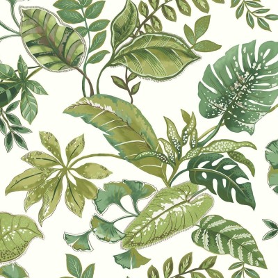 Обои Daisy Bennet (Jaima Brown) JB21914 