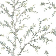 Обои Daisy Bennet (Jaima Brown)...