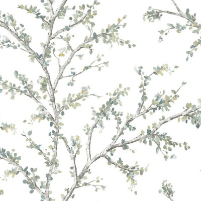 Обои Daisy Bennet (Jaima Brown) JB20204 