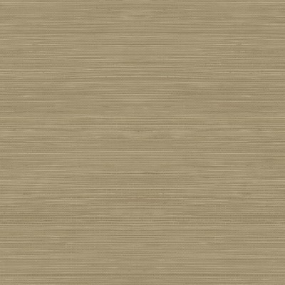 Обои Daisy Bennet (Jaima Brown) JB22306 