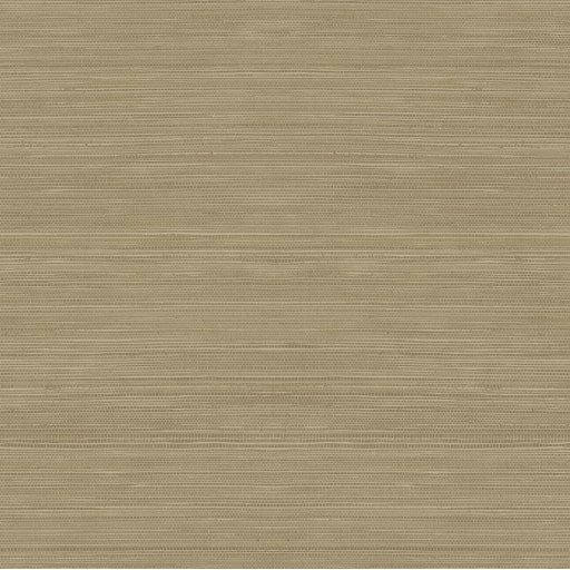 Обои Daisy Bennet (Jaima Brown), коллекция Woodlands Resource, артикул JB22306