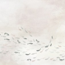 Обои Architector 6600081 