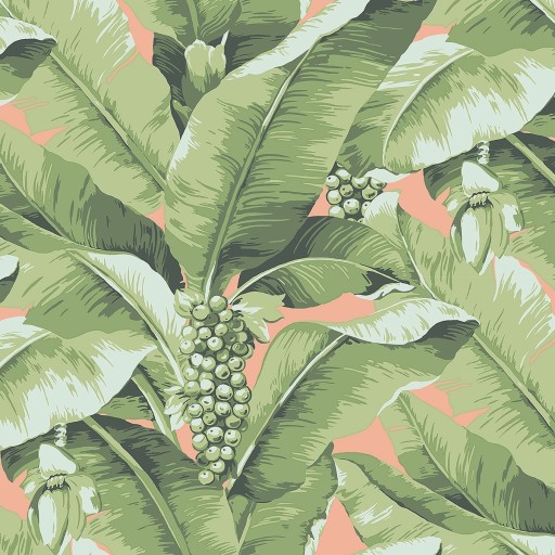 Обои Daisy Bennet (Jaima Brown), коллекция Anthology Resource, артикул DB10124