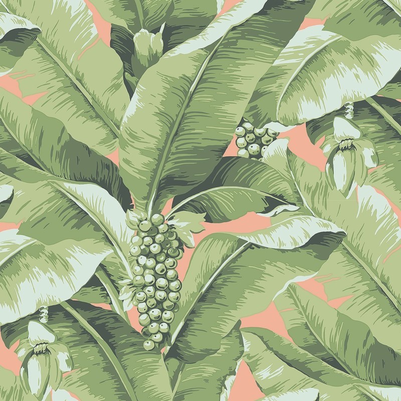 Обои Daisy Bennet (Jaima Brown)...