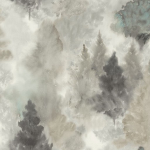 Обои KT-Exclusive, коллекция L Atelier de Paris, артикул AH41200 Обои KT-Exclusive, коллекция L Atelier de Paris, артикул AH41200