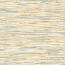 Обои Daisy Bennet (Jaima Brown)...