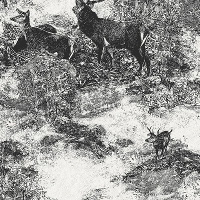 Обои Architector KT40600 Обои Architector KT40600