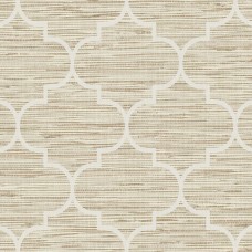 Обои Daisy Bennet (Jaima Brown)...