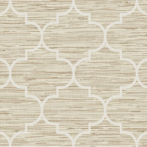 Обои Daisy Bennet (Jaima Brown), коллекция Woodlands Resource, артикул JB20807