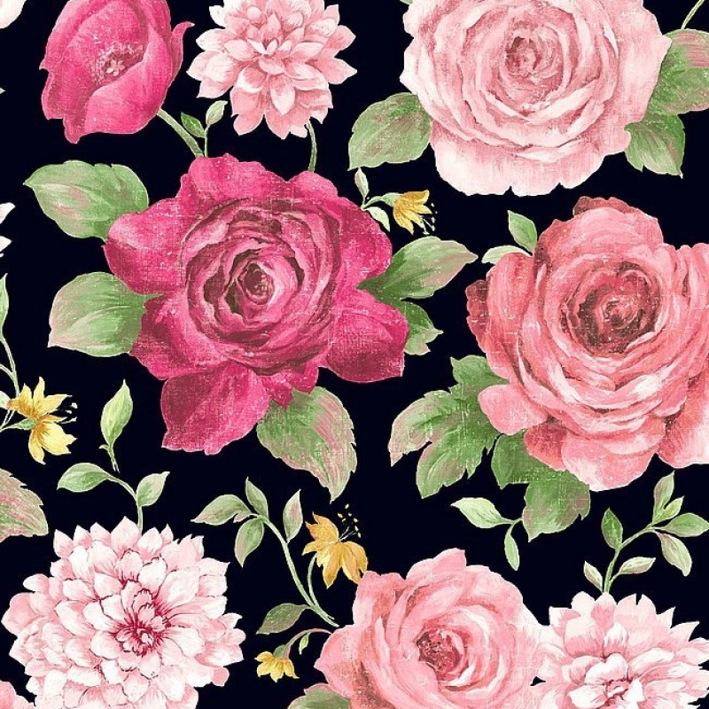 Обои Daisy Bennet (Jaima Brown)...