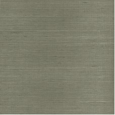 Обои Paper and Ink SY21848