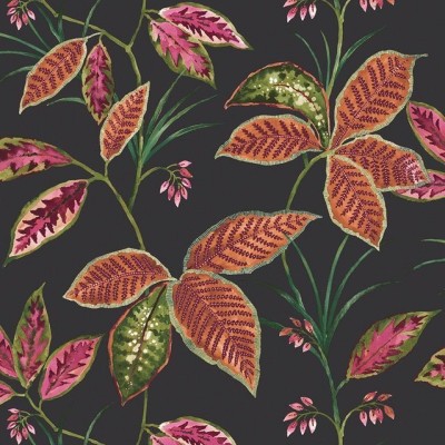 Обои KT-Exclusive TP80800 Обои KT-Exclusive TP80800