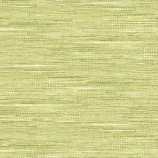 Обои KT-Exclusive TP80104 