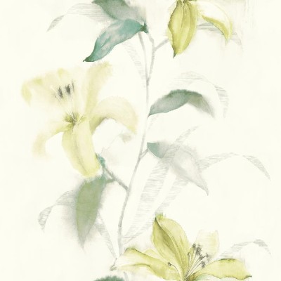 Обои KT-Exclusive Jasmine ja31604