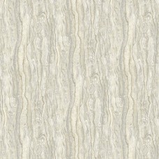 Обои Casa Mia WF20408 