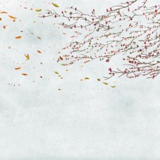 Обои Architector 6600087 