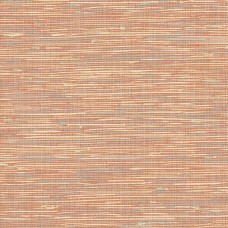 Обои Daisy Bennet (Jaima Brown)...