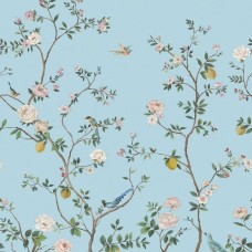 Обои Daisy Bennet (Jaima Brown)...