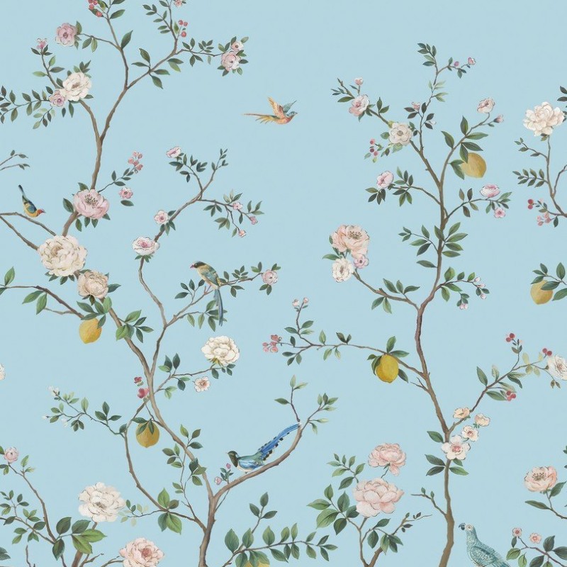 Обои Daisy Bennet (Jaima Brown)... Обои Daisy Bennet (Jaima Brown)...