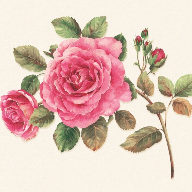 Обои Daisy Bennet (Jaima Brown)...