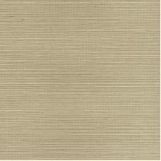 Обои Paper and Ink SY21843