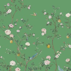 Обои Daisy Bennet (Jaima Brown)...