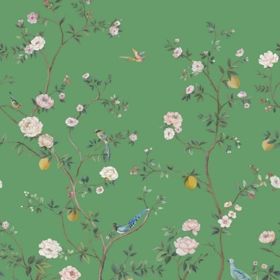 Обои Daisy Bennet (Jaima Brown) DB11604M Обои Daisy Bennet (Jaima Brown) DB11604M