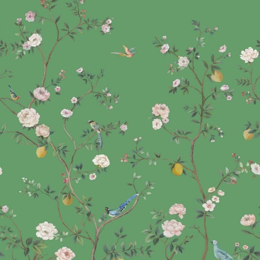 Обои Daisy Bennet (Jaima Brown), коллекция Anthology Resource, артикул DB11604M