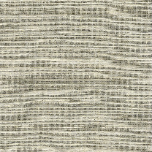 Обои Paper and Ink, коллекция Natural Silhouettes, артикул NS51805