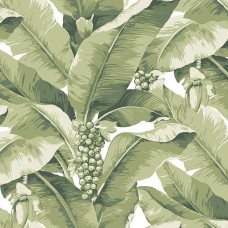 Обои Daisy Bennet (Jaima Brown)...