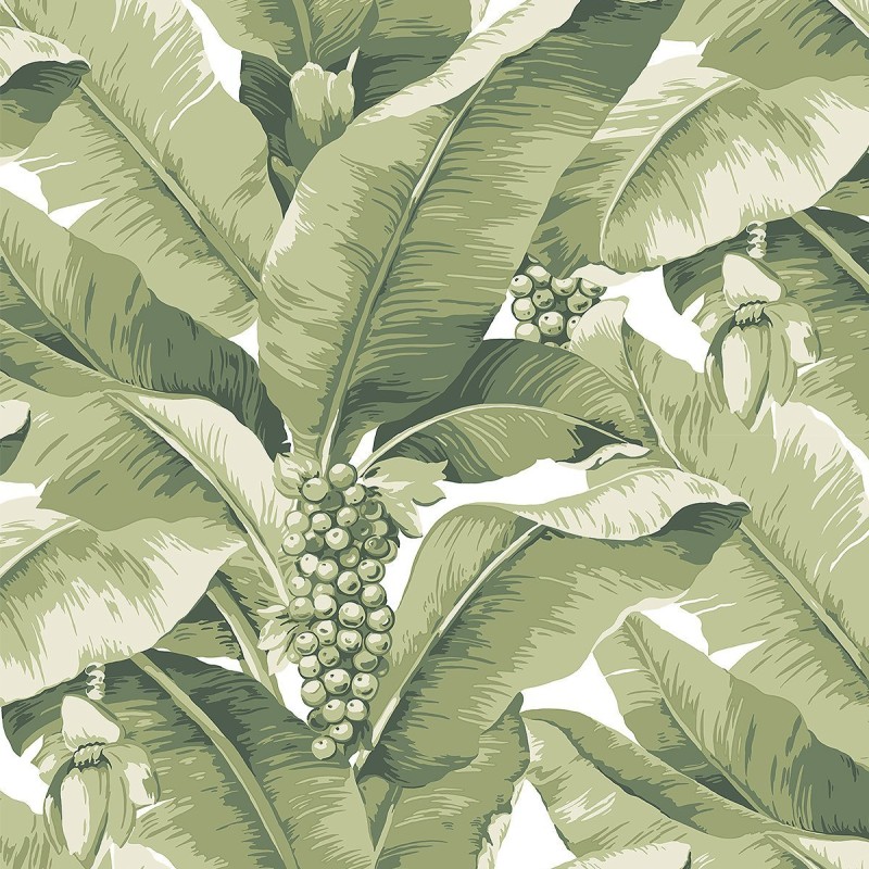 Обои Daisy Bennet (Jaima Brown)... Обои Daisy Bennet (Jaima Brown)...