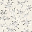 Carrara Archit