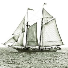 Обои Seabrook CT42100M