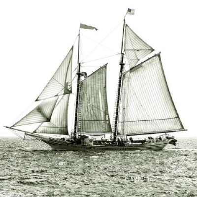 Обои Seabrook CT42100M 