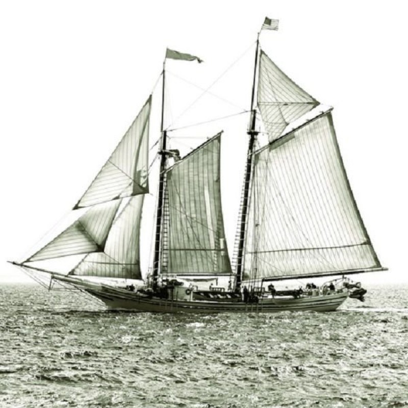 Обои Seabrook CT42100M 