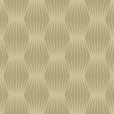 Обои Casa Mia RM20205 Обои Casa Mia RM20205