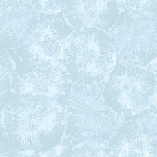 Обои KT-Exclusive OT71304 