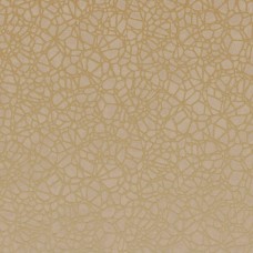 Обои Architector SH00622 